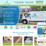 Carpet Cleaning Website Design