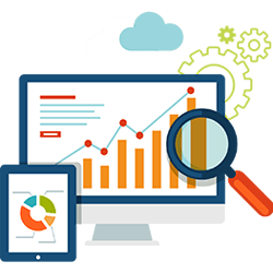 Search Marketing Management